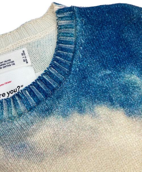 DAIRIKU（ダイリク）DAIRIKU (ダイリク) 18SS Photo Pullover Knit/18SS フォト プルオーバー ニット ブルー サイズ:Ⅿの古着・服飾アイテム