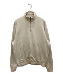 THE NORTH FACE（ザ ノース フェイス）の古着「ロックステディハーフジップ」｜ベージュ