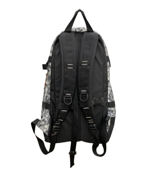 GREGORY（グレゴリー）GREGORY (グレゴリー) ツリーラインカモ バックパック グレー×ブラックの古着・服飾アイテム