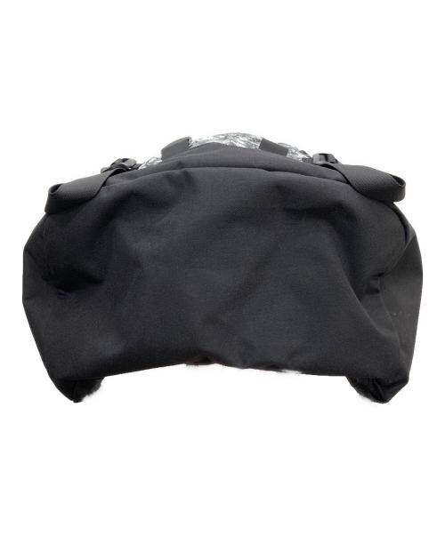 GREGORY（グレゴリー）GREGORY (グレゴリー) ツリーラインカモ バックパック グレー×ブラックの古着・服飾アイテム