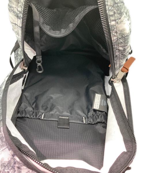 GREGORY（グレゴリー）GREGORY (グレゴリー) ツリーラインカモ バックパック グレー×ブラックの古着・服飾アイテム