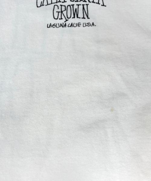 stussy（ステューシー）stussy (ステューシー) CALI GROWN TEE PIGMENT DYED ロゴTシャツ ホワイト サイズ:Ｌ　の古着・服飾アイテム