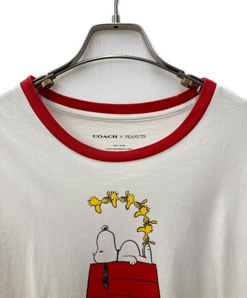 COACH（コーチ）COACH (コーチ) PEANUTS (ピーナッツ) リンガーTシャツ ホワイト サイズ:Ｓ　の古着・服飾アイテム