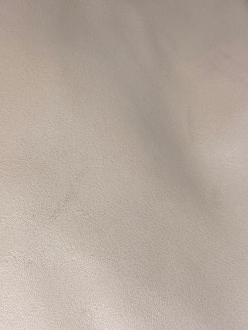 VASIC（ヴァジック）VASIC (ヴァジック) BASK MINI/バスクミニ ベージュの古着・服飾アイテム