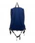 Patagonia (パタゴニア) ARBOR PACK 26L ネイビー：7000円