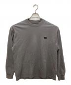 THE NORTH FACEザ ノース フェイス）の古着「L/S ROCK STEADY TEE」｜グレー