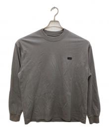 THE NORTH FACE（ザ ノース フェイス）の古着「L/S ROCK STEADY TEE」｜グレー