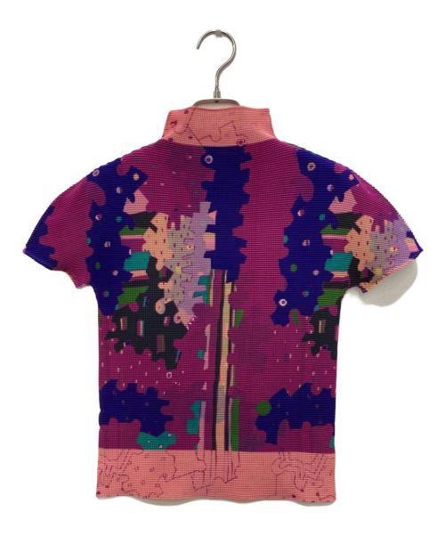 me ISSEY MIYAKE（ミーイッセイ ミヤケ）me ISSEY MIYAKE (ミーイッセイ ミヤケ) 総柄プリーツカットソー マルチカラー サイズ:Freeの古着・服飾アイテム