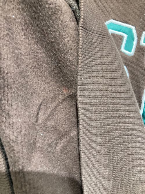 stussy（ステューシー）stussy (ステューシー) ヴィンテージカレッジロゴスウェット ブラウン×グリーン サイズ:XLの古着・服飾アイテム