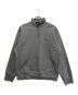 CARHARTT WIP（カーハート ワークインプログレス）の古着「HALF ZIP AMERICAN SCRIPT SWEATSHIRT」｜グレー