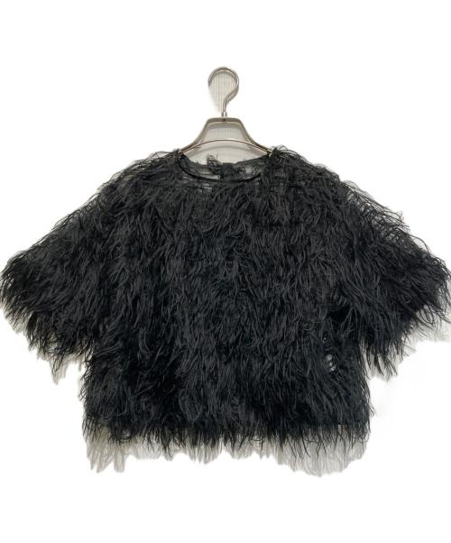 roughlow（ラフロー）roughlow (ラフロー) airy fringe sheer tops ブラック サイズ:FREEの古着・服飾アイテム