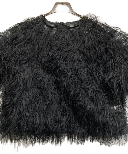 roughlow（ラフロー）roughlow (ラフロー) airy fringe sheer tops ブラック サイズ:FREEの古着・服飾アイテム