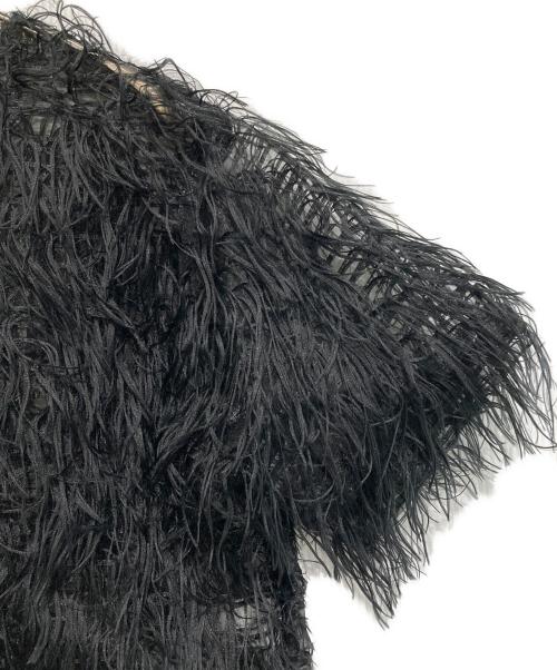 roughlow（ラフロー）roughlow (ラフロー) airy fringe sheer tops ブラック サイズ:FREEの古着・服飾アイテム