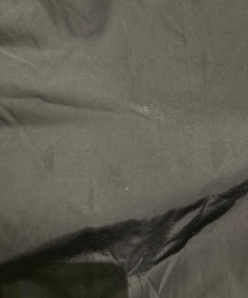 ENFOLD（エンフォルド）ENFOLD (エンフォルド) FUNNY SKIRT ブラック サイズ:Mの古着・服飾アイテム