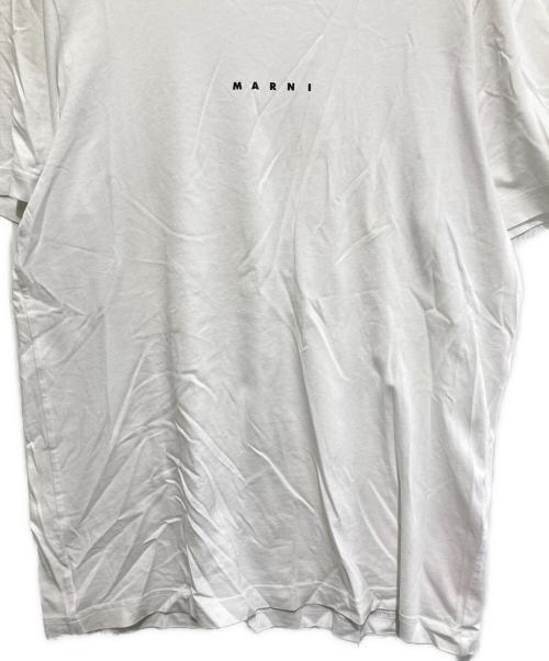 MARNI（マルニ）MARNI (マルニ) ロゴTシャツ ホワイト サイズ:48の古着・服飾アイテム