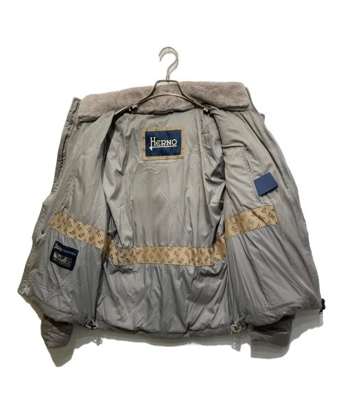 HERNO（ヘルノ）HERNO (ヘルノ) ウォーターレペレントナイロンダウンブルゾン グレー サイズ:46の古着・服飾アイテム