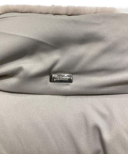 HERNO（ヘルノ）HERNO (ヘルノ) ウォーターレペレントナイロンダウンブルゾン グレー サイズ:46の古着・服飾アイテム