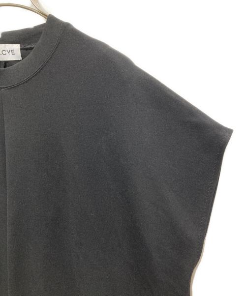 HeRIN.CYE（ヘリンドットサイ）HeRIN.CYE (ヘリンドットサイ) Egg tops ブラック サイズ:FREEの古着・服飾アイテム
