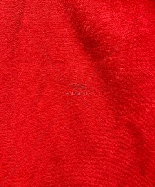 stussy（ステューシー）stussy (ステューシー) プリントTシャツ レッド サイズ:XLの古着・服飾アイテム