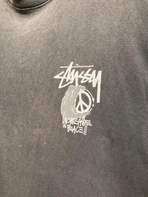 stussy（ステューシー）stussy (ステューシー) 半袖カットソー ブラック サイズ:XLの古着・服飾アイテム