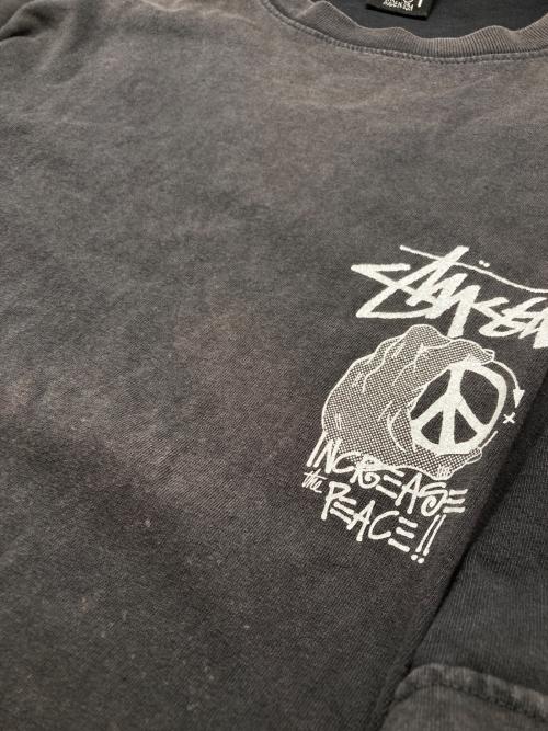 stussy（ステューシー）stussy (ステューシー) 半袖カットソー ブラック サイズ:XLの古着・服飾アイテム