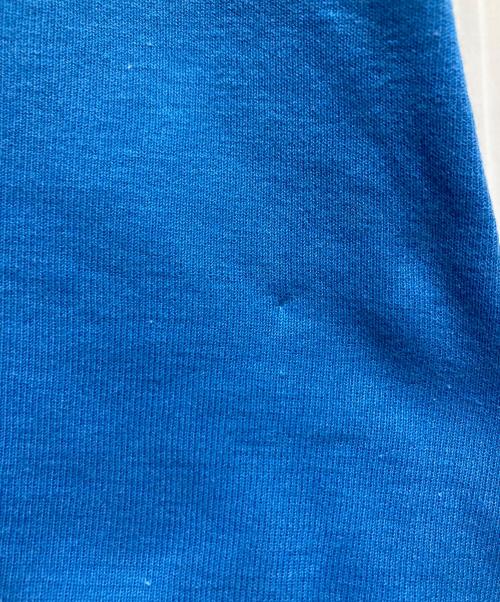 CELINE（セリーヌ）CELINE (セリーヌ) ビジュートリオンフカットソー スカイブルー サイズ:Lの古着・服飾アイテム