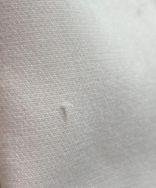 theory luxe（セオリーリュクス）theory luxe (セオリーリュクス) 24SS Cosimo Carol 2 パンツ ピンク サイズ:40の古着・服飾アイテム