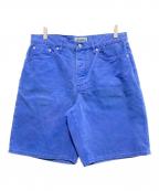 stussyステューシー）の古着「Big Ol' Short Washed Canvas」｜ブルー