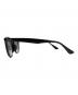 RAY-BAN (レイバン) サングラス ブラック サイズ:SIZE 53□20：6000円