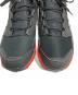 中古・古着 adidas (アディダス) TERREX AGRAVIC TR GTX レッド×ブラック サイズ:26.5：5000円