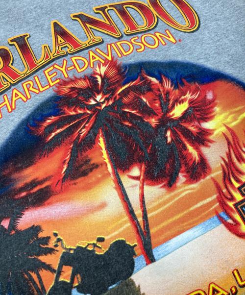 HARLEY-DAVIDSON（ハーレーダビッドソン）HARLEY-DAVIDSON (ハーレーダビッドソン) プリントTシャツ/ハーレーダビッドソン グレー サイズ:2XLの古着・服飾アイテム
