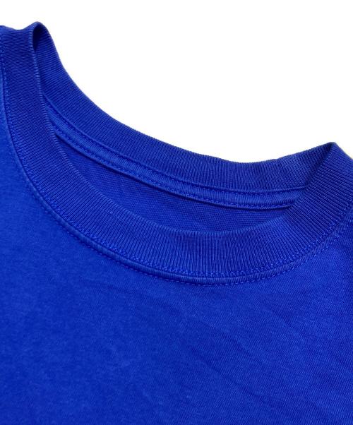 THE NORTH FACE（ザ ノース フェイス）THE NORTH FACE (ザ ノース フェイス) KAWS (カウズ) プリントTシャツ ブルー サイズ:Mの古着・服飾アイテム