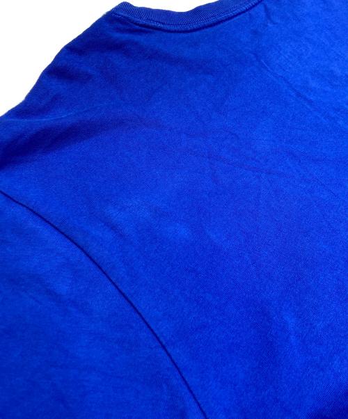 THE NORTH FACE（ザ ノース フェイス）THE NORTH FACE (ザ ノース フェイス) KAWS (カウズ) プリントTシャツ ブルー サイズ:Mの古着・服飾アイテム