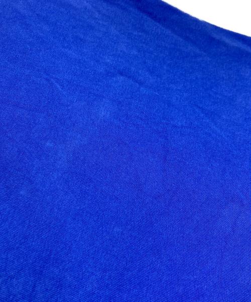 THE NORTH FACE（ザ ノース フェイス）THE NORTH FACE (ザ ノース フェイス) KAWS (カウズ) プリントTシャツ ブルー サイズ:Mの古着・服飾アイテム