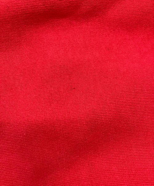 Champion REVERSE WEAVE（チャンピオン リバース ウィーブ）Champion REVERSE WEAVE (チャンピオン リバース ウィーブ) 90’ｓ刺繍タグスウェット レッド サイズ:Ｍの古着・服飾アイテム
