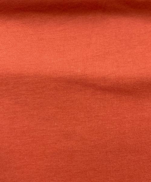 EMPORIO ARMANI（エンポリオアルマーニ）EMPORIO ARMANI (エンポリオアルマーニ) Tシャツ/エンポリオアルマーニ オレンジ サイズ:Sの古着・服飾アイテム