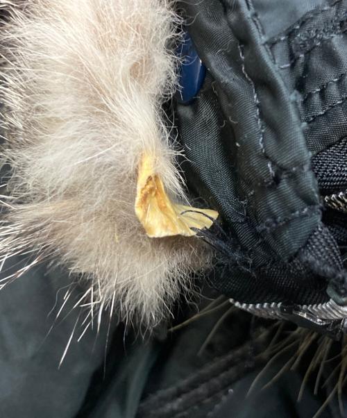 ALPHA（アルファ）ALPHA (アルファ) N-2Bフライトジャケット ブラック サイズ:Lの古着・服飾アイテム