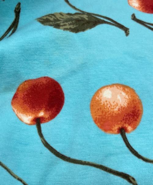 PINK HOUSE（ピンクハウス）PINK HOUSE (ピンクハウス) カットソーワンピース/ピンクハウス/P015IUAL23 B ブルー サイズ:Freeの古着・服飾アイテム