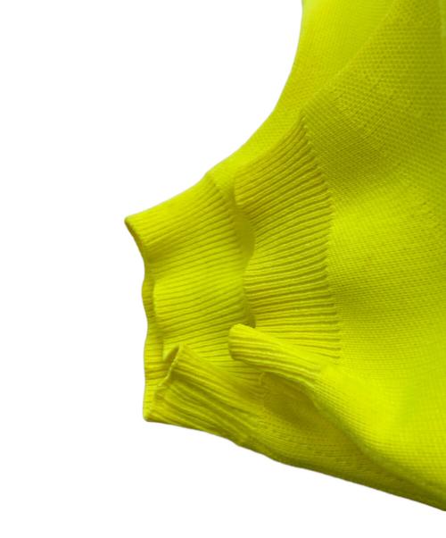 BALENCIAGA（バレンシアガ）BALENCIAGA (バレンシアガ) SPEED TRAINER/バレンシアガ イエロー サイズ:43の古着・服飾アイテム