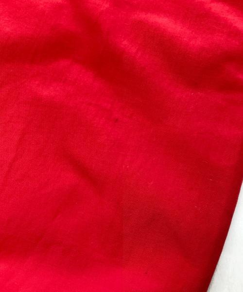 Patagonia（パタゴニア）Patagonia (パタゴニア) ナイロンパンツ レッド サイズ:Sの古着・服飾アイテム