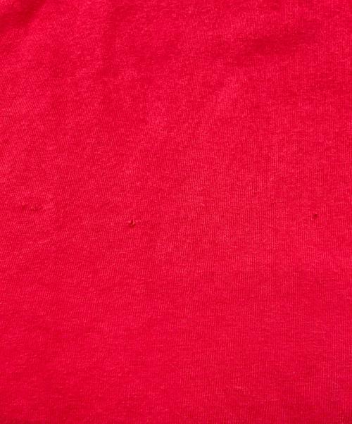 stussy（ステューシー）stussy (ステューシー) スカルプリントTシャツ レッド サイズ:Ⅼの古着・服飾アイテム