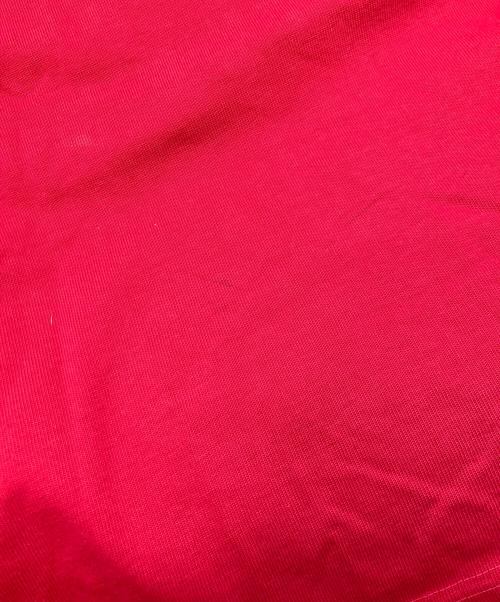 POLO RALPH LAUREN（ポロ・ラルフローレン）POLO RALPH LAUREN (ポロ・ラルフローレン) ラガーシャツ レッド サイズ:Lの古着・服飾アイテム