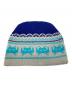COMME des GARCONS (コムデギャルソン) ARNE & CARLOS (アンネ アンド カルロス) ニットキャップ ブルー×グレー：10000円