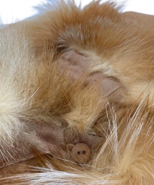 BURBERRY BLUE LABEL（バーバリー ブルー レーベル）BURBERRY BLUE LABEL (バーバリー ブルー レーベル) ファー付レザーコート ブラウン サイズ:38の古着・服飾アイテム