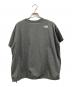 THE NORTH FACE (ザ ノース フェイス) ドローストリングTシャツ グレー サイズ:Ⅿ：5000円