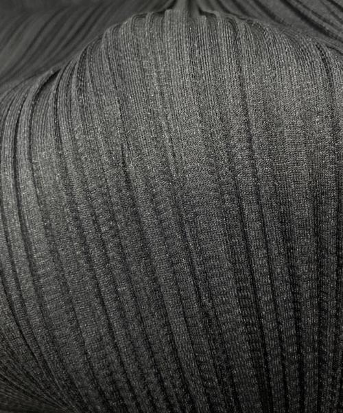 PLEATS PLEASE（プリーツプリーズ）PLEATS PLEASE (プリーツプリーズ) プリーツパンツ ネイビー サイズ:2の古着・服飾アイテム