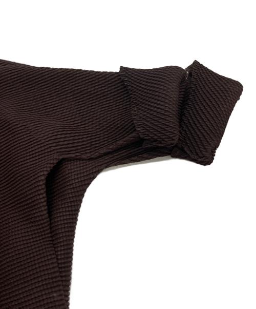 ISSEEY MIYAKE PLEATS T（イッセイミヤケ プリーツ）ISSEEY MIYAKE PLEATS T (イッセイミヤケ プリーツ) 半袖カットソー ブラウン サイズ:Mの古着・服飾アイテム