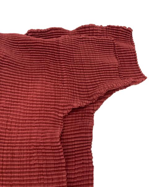 ISSEI MIYAKE PLEATS T（イッセイミヤケ プリーツ）ISSEI MIYAKE PLEATS T (イッセイミヤケ プリーツ) 半袖カットソー ブラウン サイズ:Ｍの古着・服飾アイテム