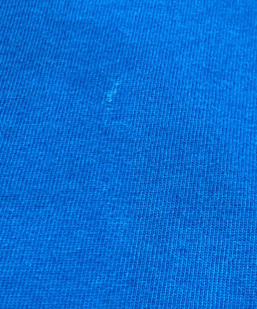 NIKE（ナイキ）NIKE (ナイキ) /S/S TEE HIKE LOGO ブルー サイズ:XLの古着・服飾アイテム