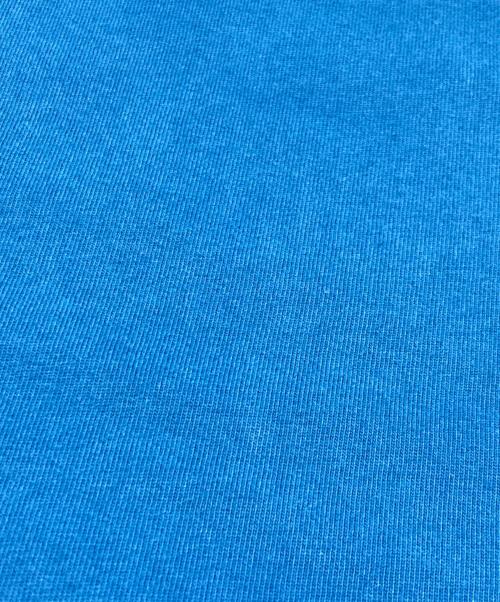 NIKE（ナイキ）NIKE (ナイキ) /S/S TEE HIKE LOGO ブルー サイズ:XLの古着・服飾アイテム